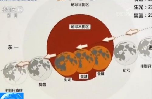 1517296480250.jpg